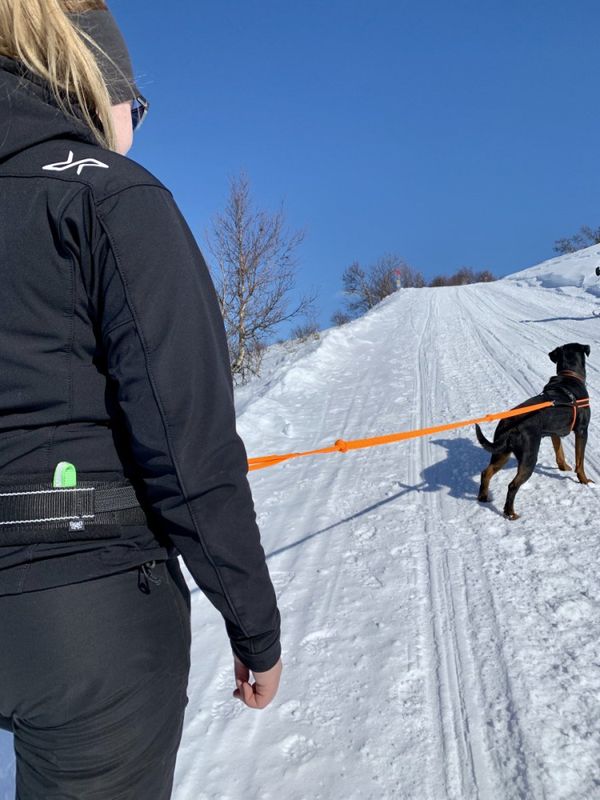 ALAC - Midjebälte för hundmotion