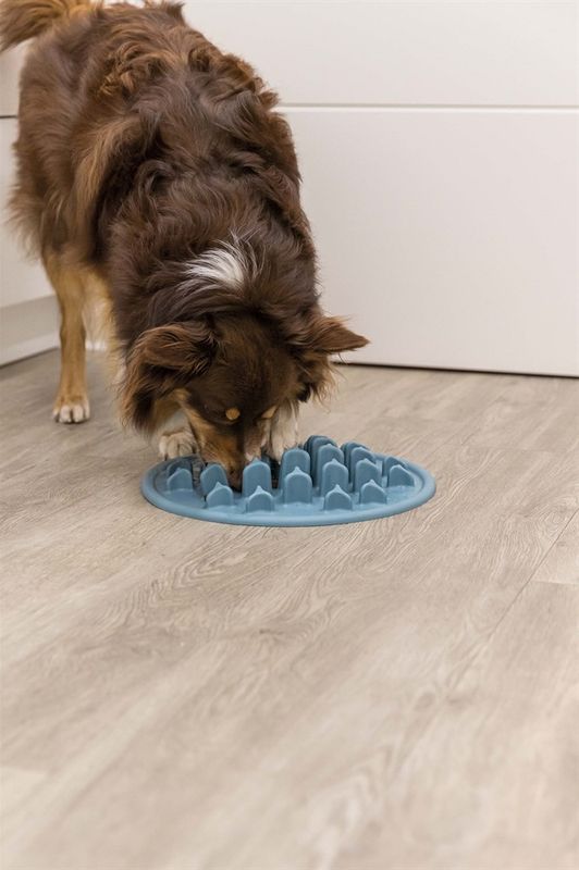 Slow Feeder Fodermatta för Hund | Pillars | Slagugglan