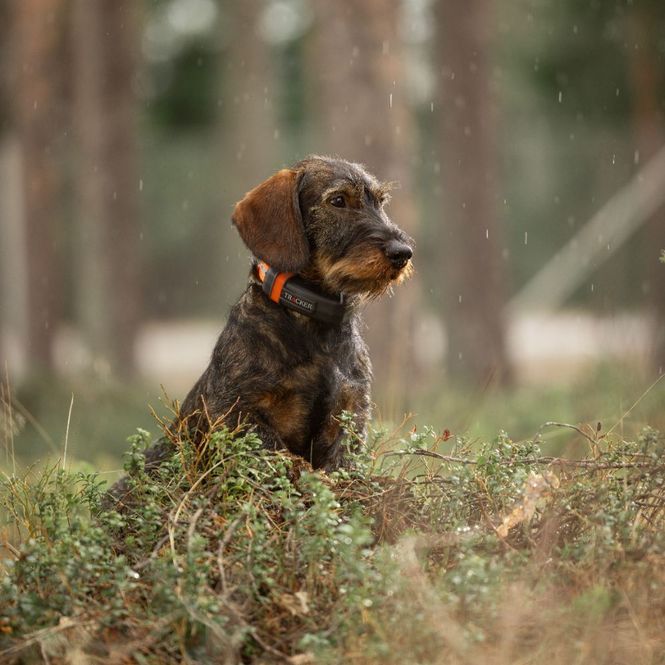 Hovedbillede Tracker - Luna