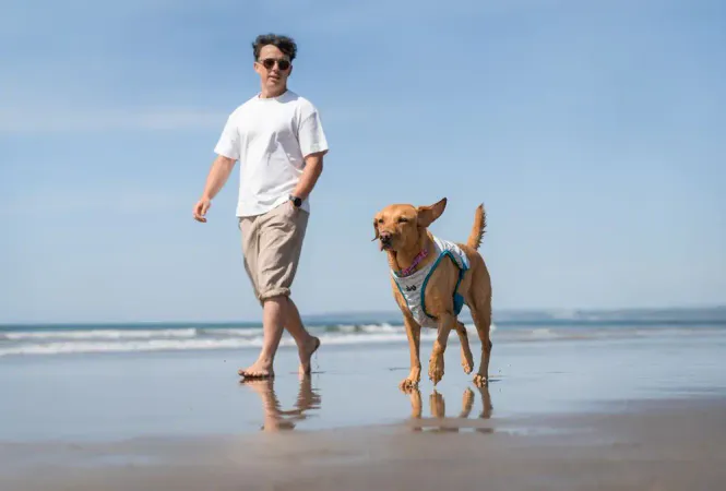 Hovedbillede Non-stop Dogwear Cooling Vest – Kylväst för ...
